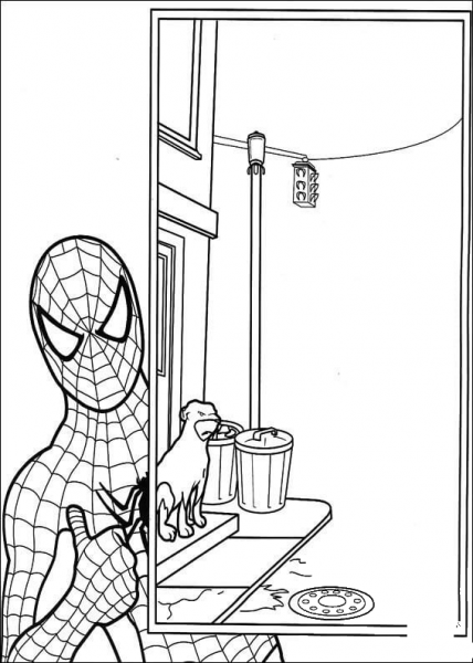 Spider-man  coloring page image