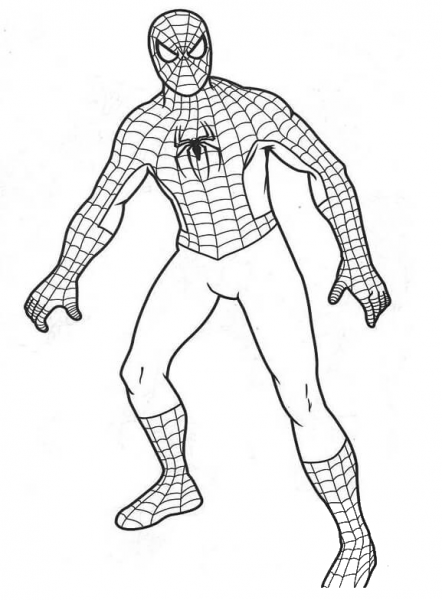 Spiderman coloring page image