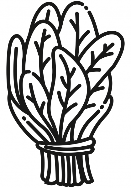 Spinach coloring page image