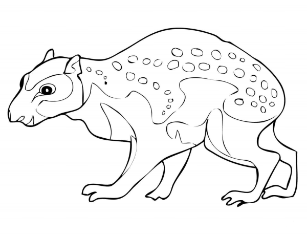 Spotted Lowland Paca coloring page image