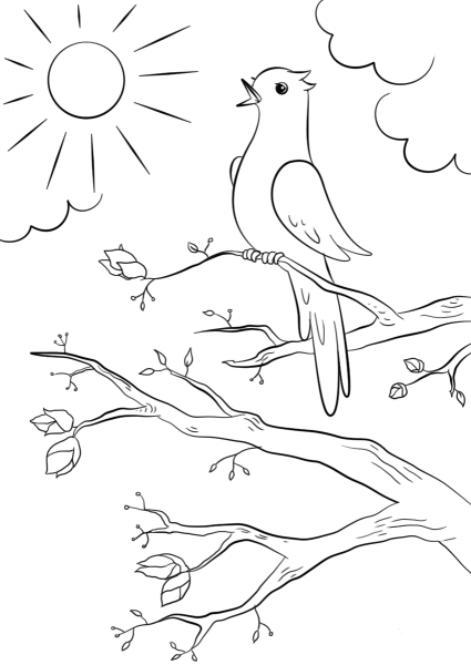 Spring Bird coloring page image