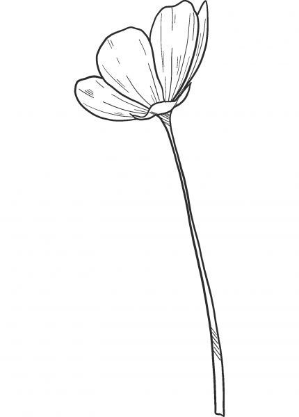 Spring Flower coloring page image