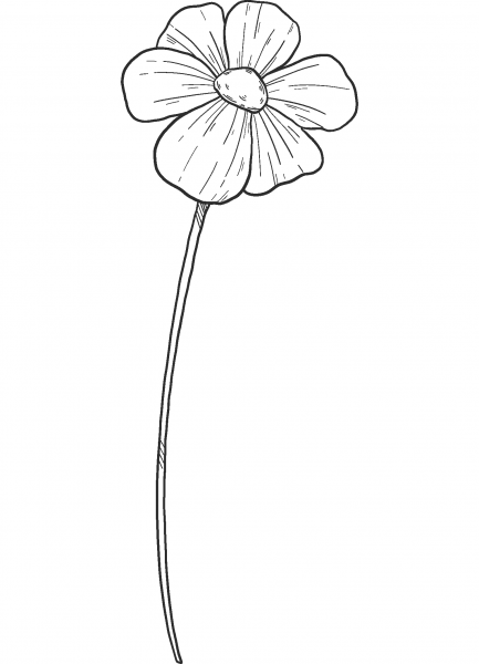 Spring Flower coloring page image