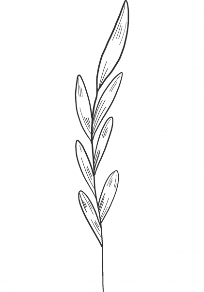 Spring Flower coloring page image