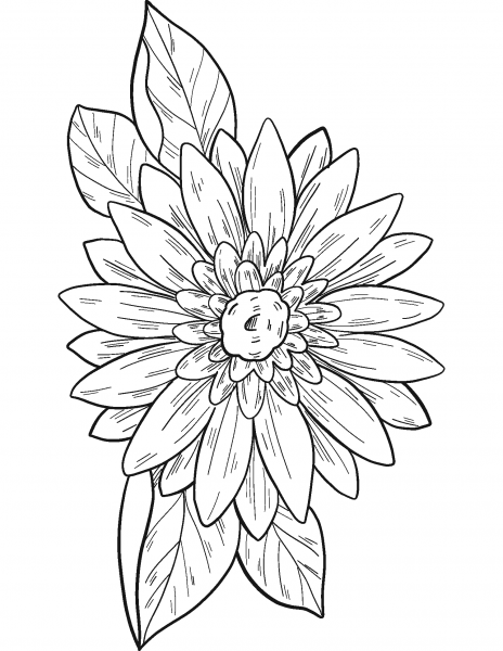 Spring Flower coloring page image