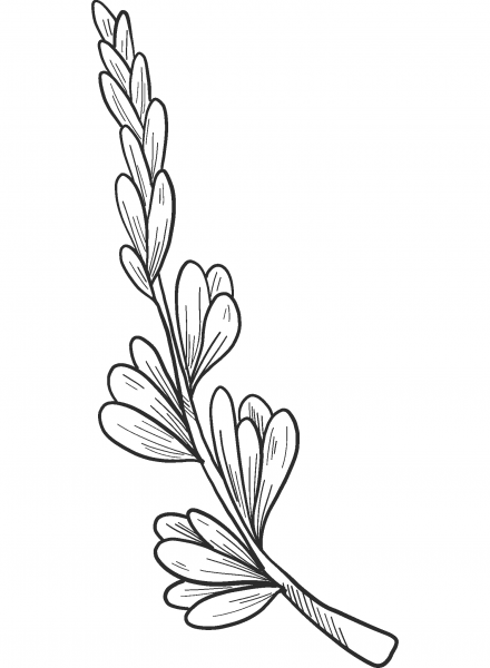 Spring Flower coloring page image