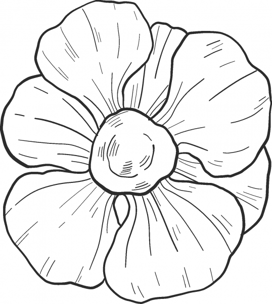 Spring Flower coloring page image