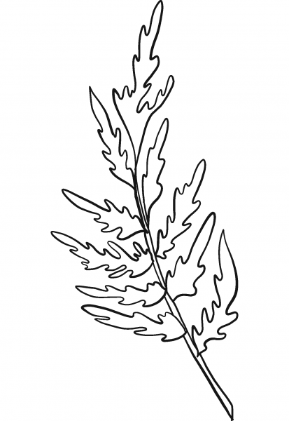 Spring Flower Leaves coloring page image