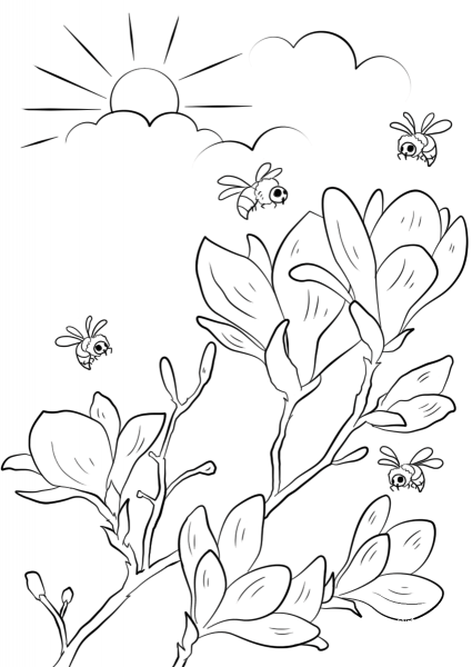 Spring Flowering Branches coloring page image