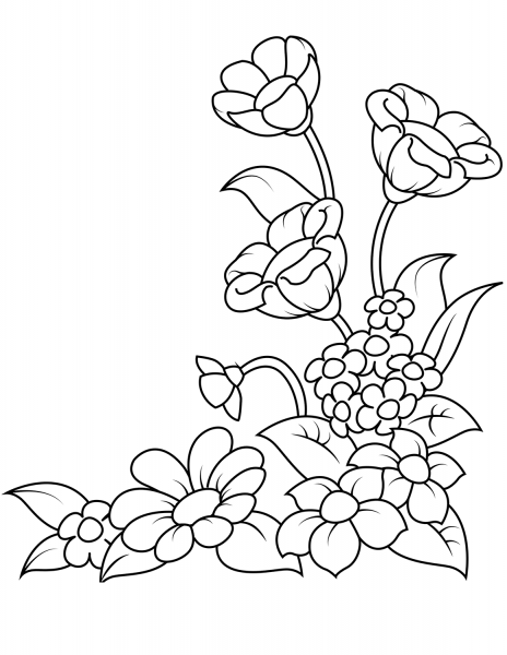 Spring Flowers coloring page image