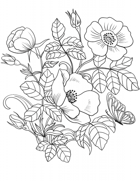 Spring Flowers coloring page image