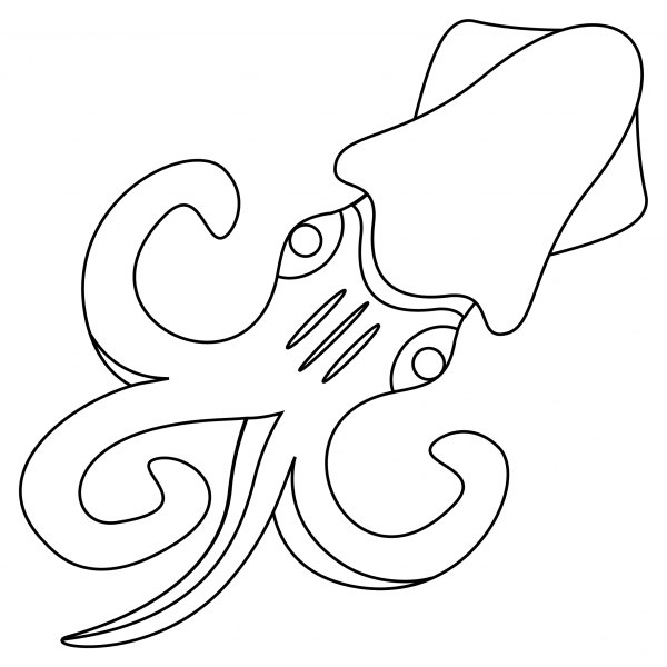 Squid coloring page image