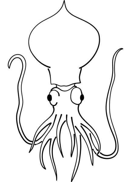Squid coloring page image
