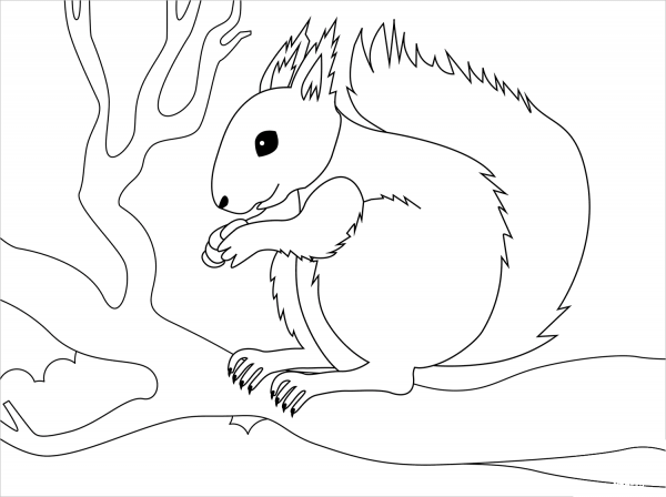 Squirell coloring page image