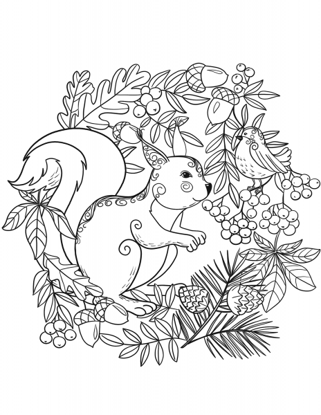 Squirrel and a Bird coloring page image