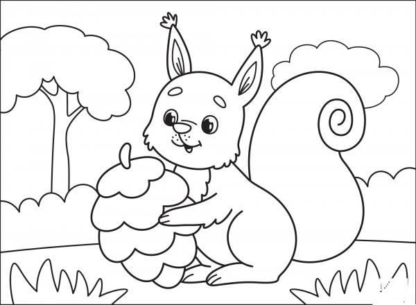 Squirrel coloring page image