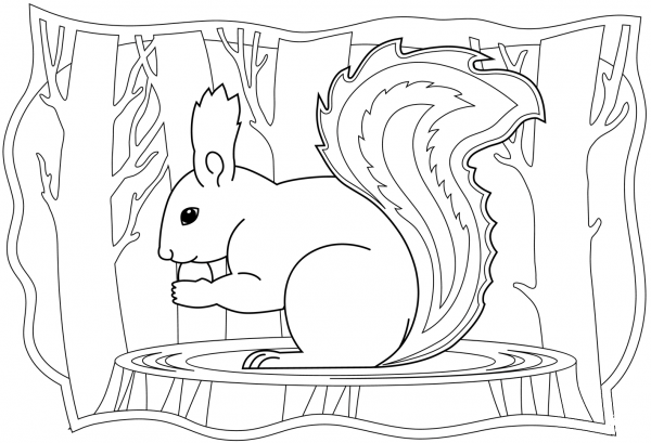 Squirrel coloring page image