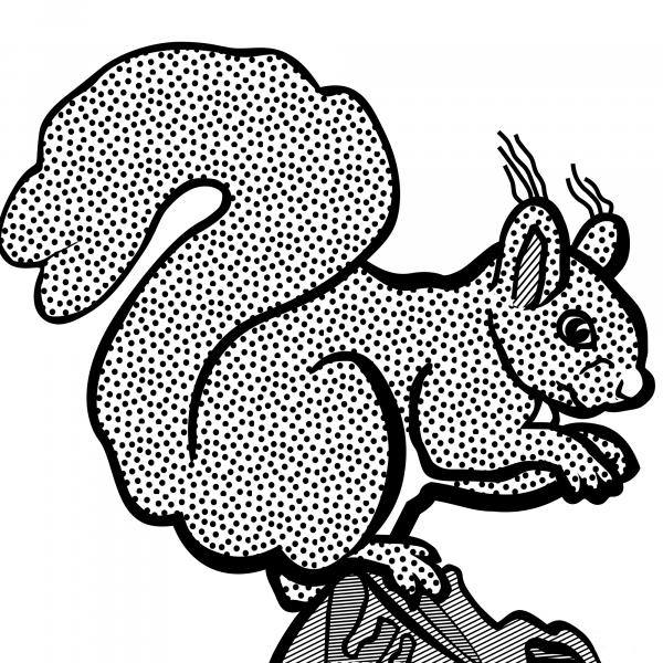 Squirrel coloring page image