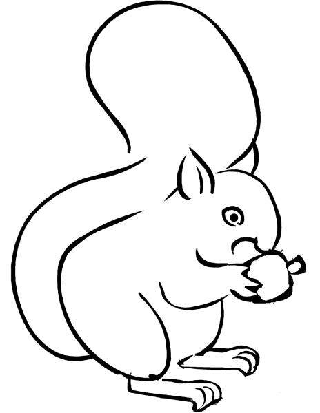 Squirrel Eating Acorn coloring page image