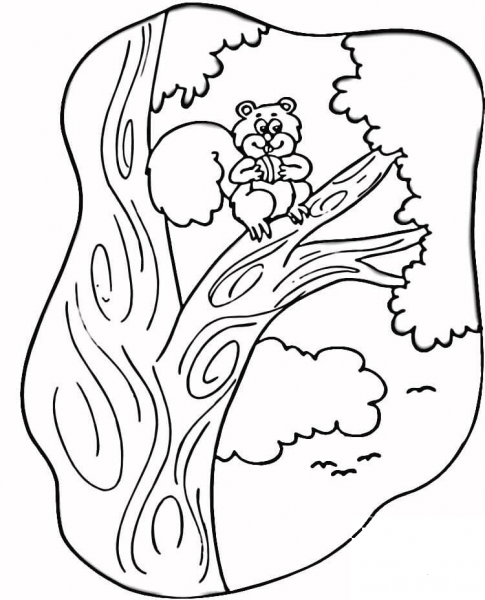 Squirrel on the Tree  coloring page image