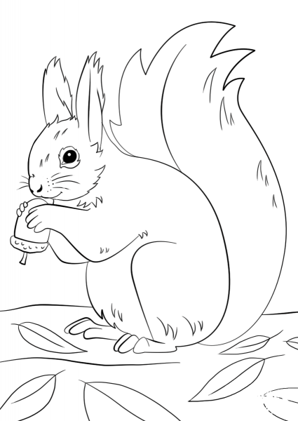 Squirrel Preparing for Winter coloring page image
