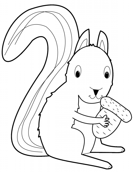 Squirrel with Acorn coloring page image