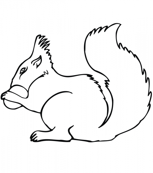Squirrel with Acorn coloring page image