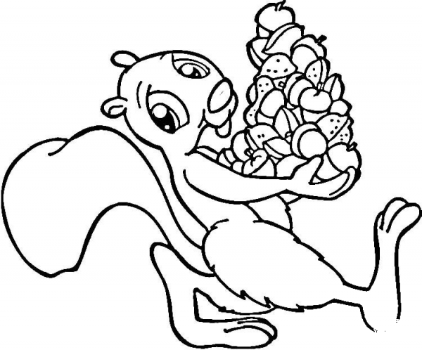 Squirrel with acorns coloring page image