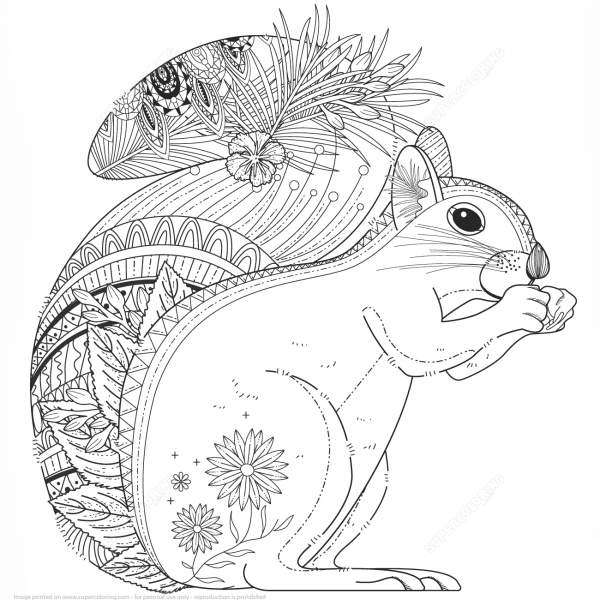 Squirrel Zentangle coloring page image
