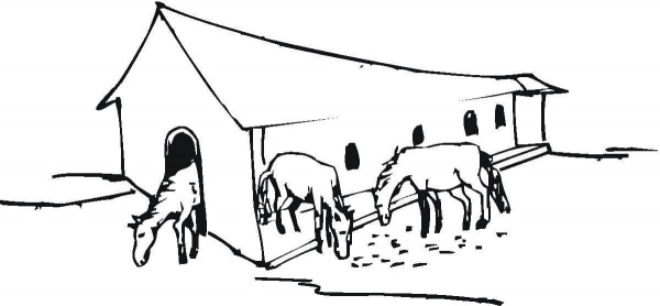 Stable  coloring page image