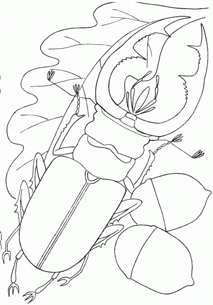Stag Beetle On a Oak Leaf coloring page image
