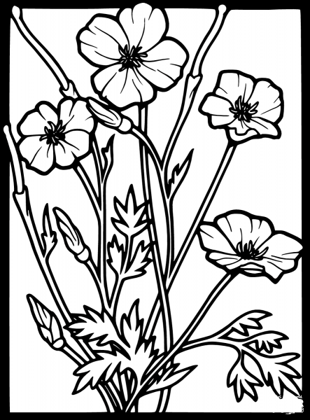 Stained Glass Poppy coloring page image