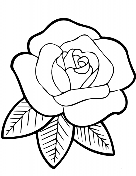 Stained Glass Rose coloring page image