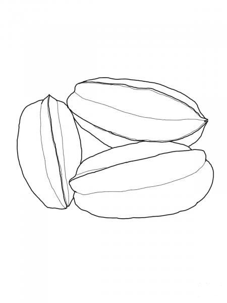 Star Fruit coloring page image