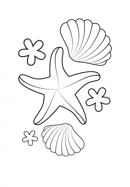 Starfish and Shells coloring page image