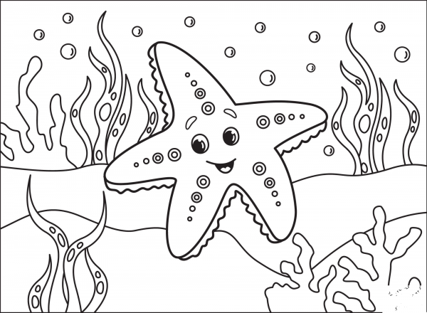 Starfish coloring page image