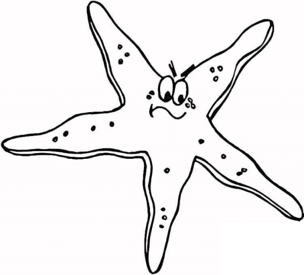 Starfish  coloring page image