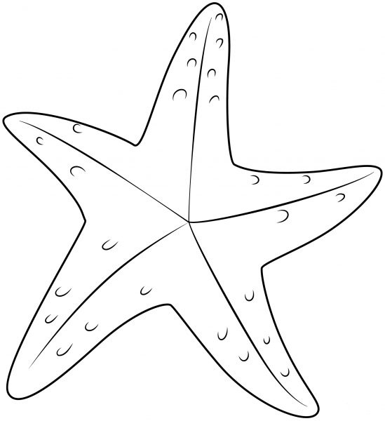 Starfish coloring page image