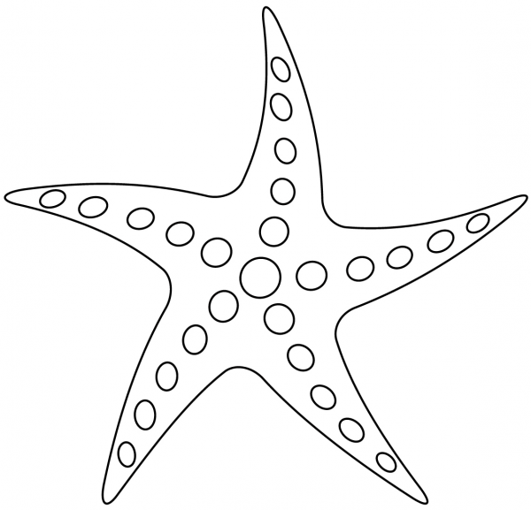 Starfish coloring page image