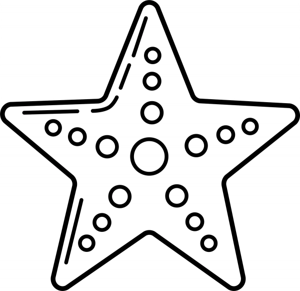 Starfish coloring page image
