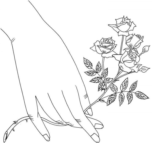 Starina Miniature Roses coloring page image