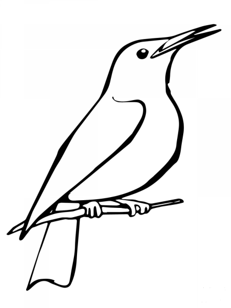 Starling coloring page image