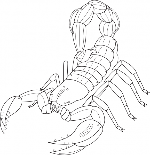 Steampunk Scorpio coloring page image