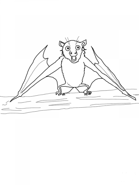 Stellaluna Fruit Bat coloring page image