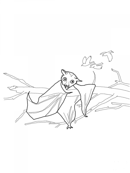 Stellaluna Trying to be a Bird coloring page image