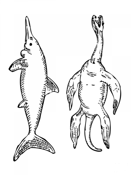 Stenopterygius Ichthyosaur and Plesiosaurus coloring page image