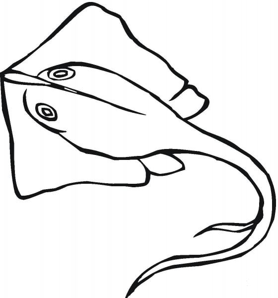 Stingray  coloring page image