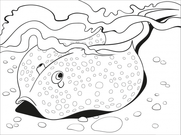 Stingray coloring page image