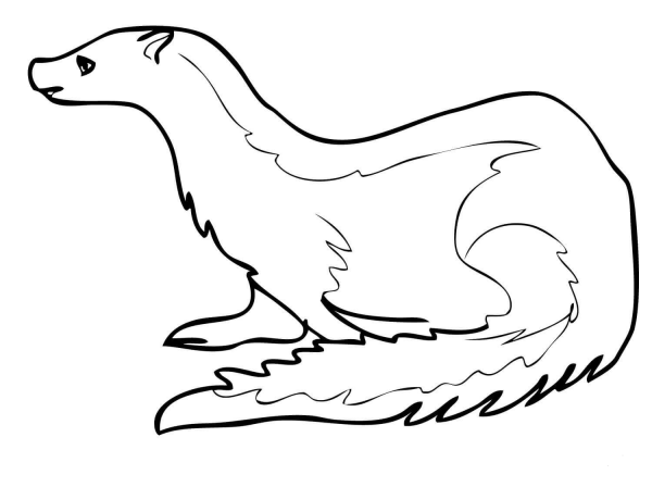Stoat coloring page image