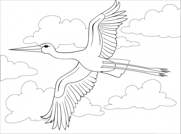 Stork coloring page image